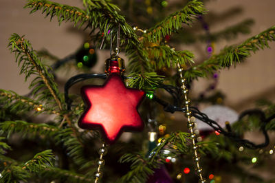 Close-up of christmas decoration hanging on tree