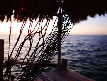 Silhouette tree by sea against sky at sunset