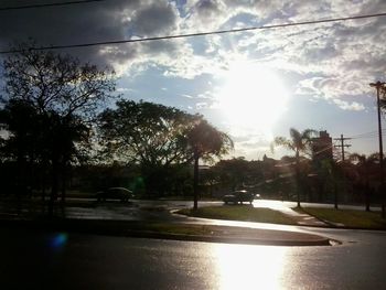 Sun shining through trees