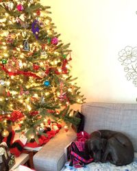 Close-up of christmas tree on bed at home