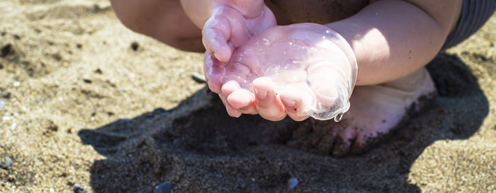 Transparent round jellyfish in children's palms. sand beach.