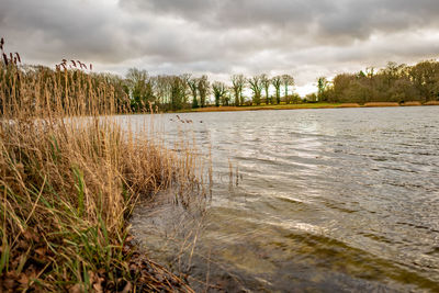 Scenic view of river against sky