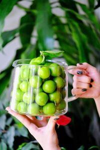 Close-up of hand holding fruit