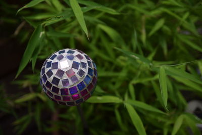 High angle view of multi colored ball on grass