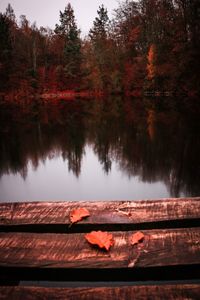 Scenic view of lake in forest during autumn
