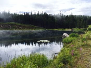 Scenic view of lake against sky