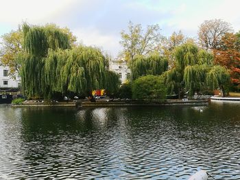 Reflection of trees in water against sky