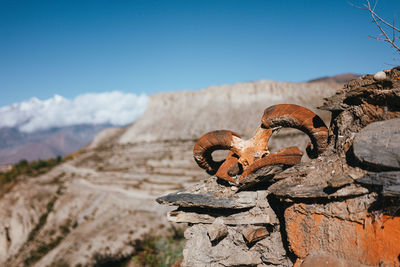 Close-up of old ruins against sky