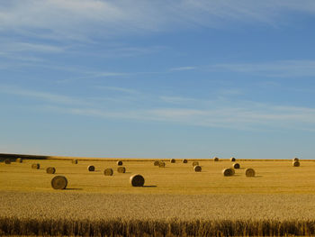 Hay bales on field against sky