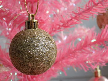 Close-up of christmas tree