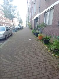 Street amidst buildings in city