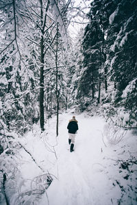 Rear view of man walking on snow covered forest