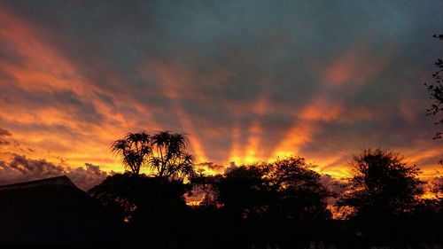 Low angle view of silhouette trees against dramatic sky