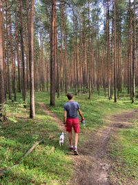 Rear view of man with dog in forest