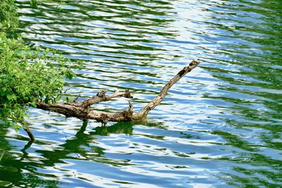 water