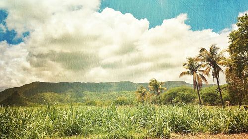 Scenic view of landscape against cloudy sky