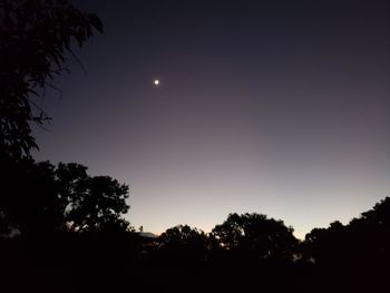 Low angle view of silhouette trees against sky at night