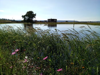 Scenic view of lake against sky