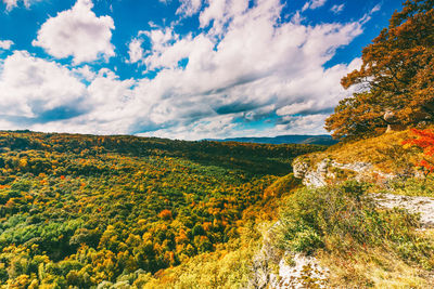 Autumn landscape. view of the colorful forest and blue cloudy sky on a warm sunny autumn day