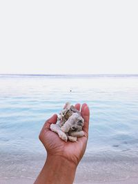 Person hand holding sea against clear sky