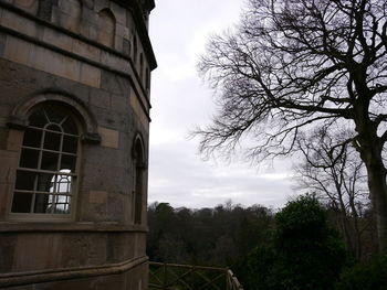 Close-up of bare tree against built structure