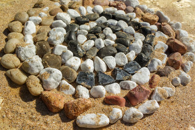 High angle view of shells on sand