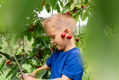 Candid portrait of a boy in the orchard during cherries harvesting.