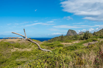 Scenic view of grass and mountains against sky