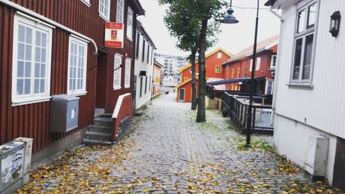 Sidewalk amidst trees during autumn