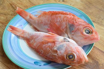 Raw scorpion fish