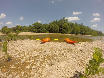 Scenic view of park against sky
