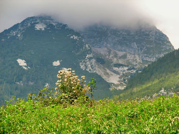 Scenic view of sea and mountains against sky