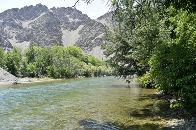 Scenic view of river flowing through rocks in forest