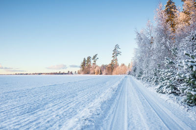 A beautiful, calm winter landscape in the rural area of latvia, northern europe. 