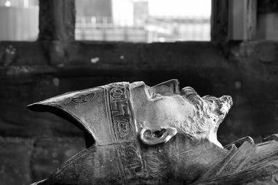 Close-up of animal skull