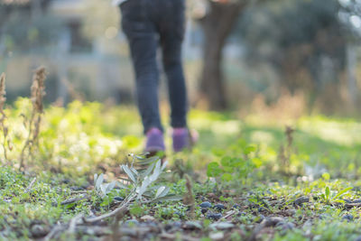 Low section of person standing on field