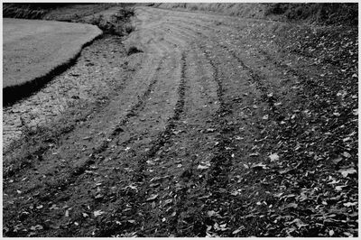 Tire tracks on beach