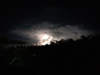 Low angle view of silhouette trees against sky at night