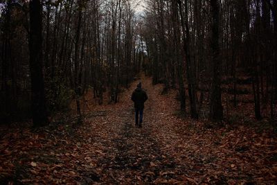 Rear view of man standing on tree in forest during autumn