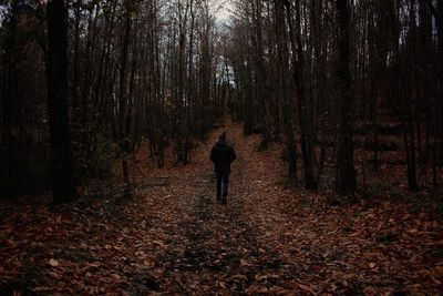 Rear view of man walking in forest during autumn