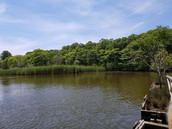 Scenic view of lake by trees against sky