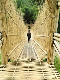 Rear view of man walking on wooden footbridge