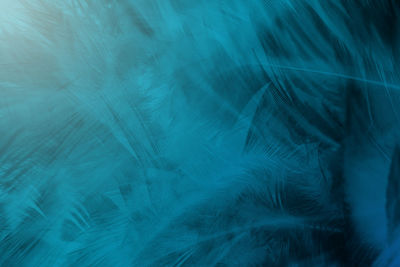 Green turquoise and blue color trends feather texture background,light orange