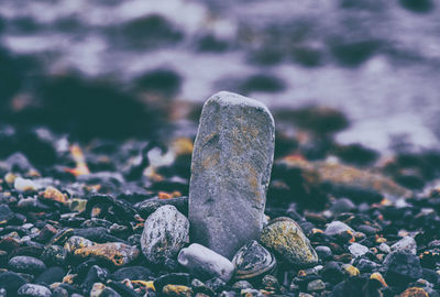 Close-up of rock