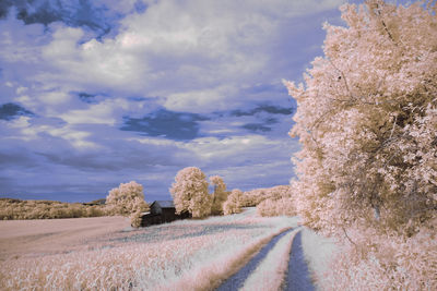 Road amidst agricultural field against sky