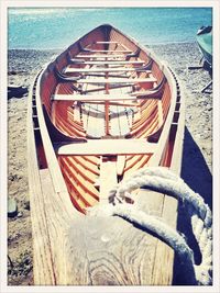 Close-up high angle view of leaves