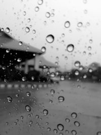 Close-up of water drops on window