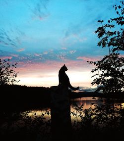 Silhouette of trees at sunset