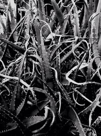 Full frame shot of white background