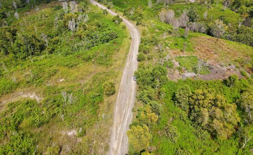 High angle view of road amidst trees